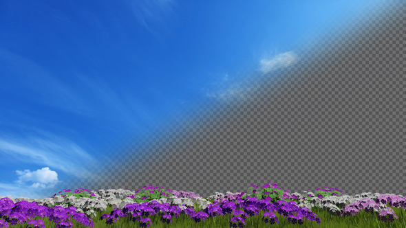 Grass and Flowers alt