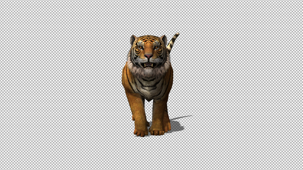 4K Tiger Running alt