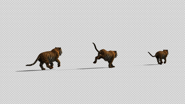 4K Tiger Running Back View alt