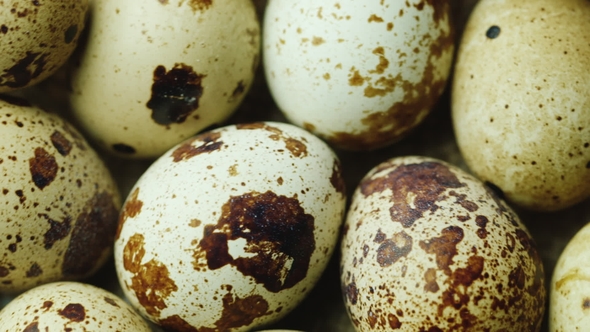 Nice and Very Helpful - Quail Eggs. Diet and Healthy Eating