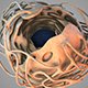 Cell Nucleus - 3DOcean Item for Sale