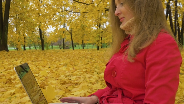 Young Caucasian Woman in Red Coat Is Typing on Laptop in Autumn Park with Yellow Trees