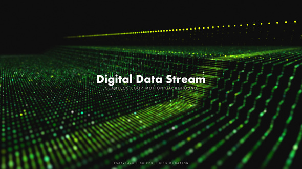 Digital Data Stream 2