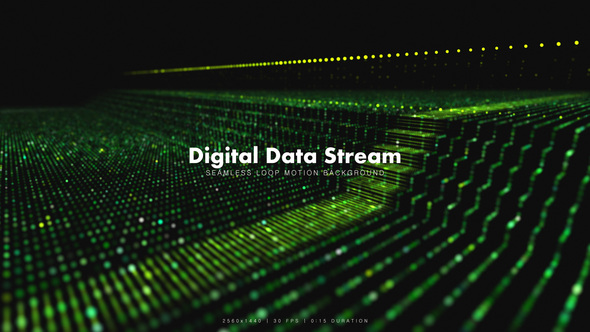 Digital Data Stream 2 alt