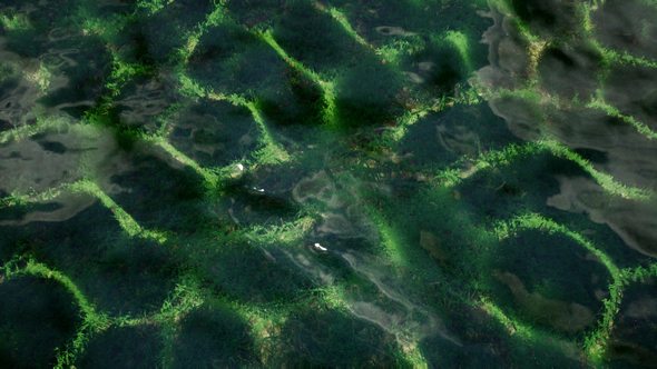 Reflection Water alt