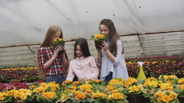 Portrait of Smiling Girls Looking and Smelling Flowers in Greenhouse