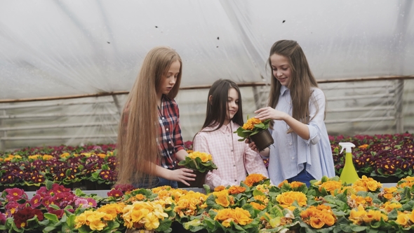Portrait of Smiling Girls Looking and Smelling Flowers in Greenhouse