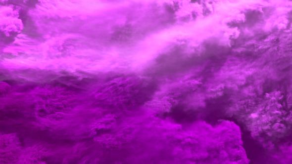 Pink Smoke Transitions alt