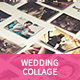 Save the Date - Wedding Collage - VideoHive Item for Sale