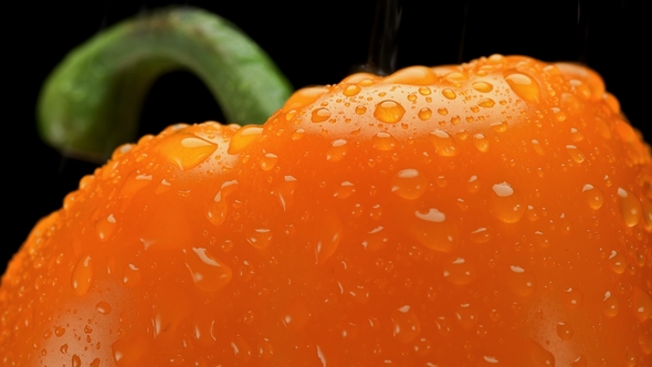 Yellow Bell Pepper with Water Drops