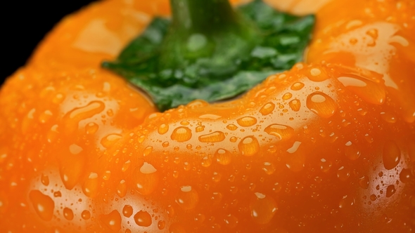 Yellow Bell Pepper with Water Drops