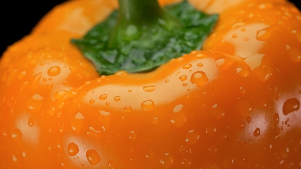 Yellow Bell Pepper with Water Drops