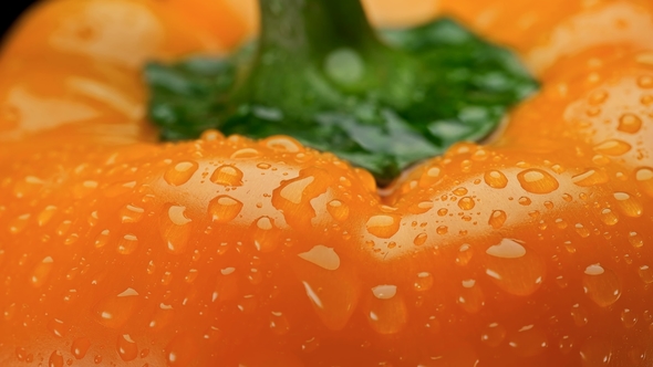 Yellow Bell Pepper with Water Drops