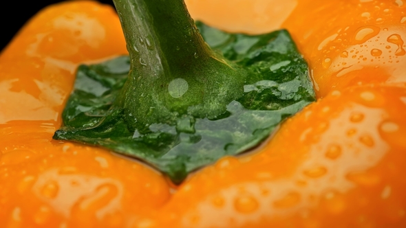 Yellow Bell Pepper with Water Drops,