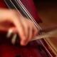 View on Violoncello in Orchestra - VideoHive Item for Sale