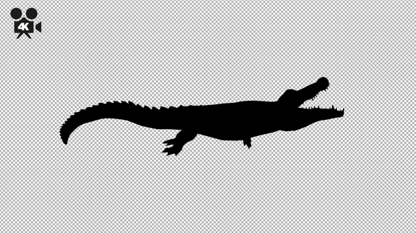 4K Crocodile Attack Silhouette alt