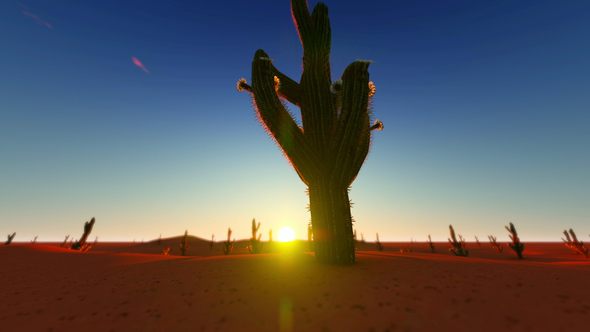 Sunset In The Desert alt