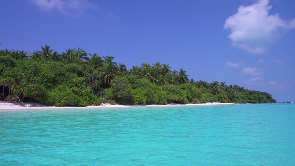 Perfect Wild Maldives Island with Coconut Palm Trees