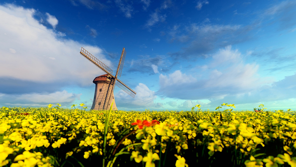 Windmill And Field Of Flowers alt