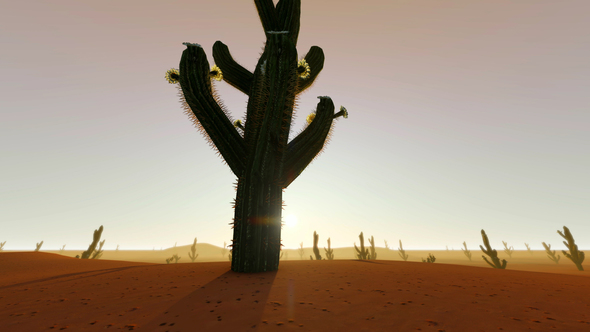 Desert Sunset With Cactus Silhouette
