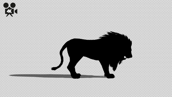 4K Lion Eat Silhouette alt