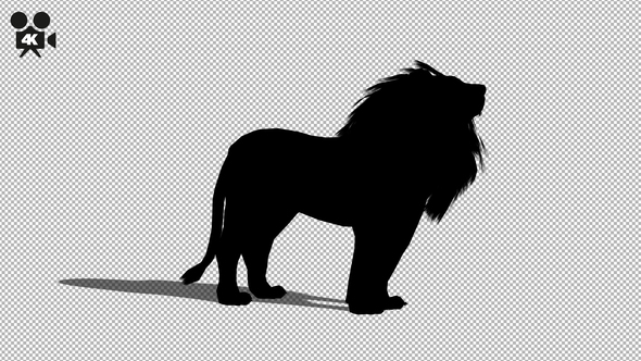 4K Lion Silhouette Howl
