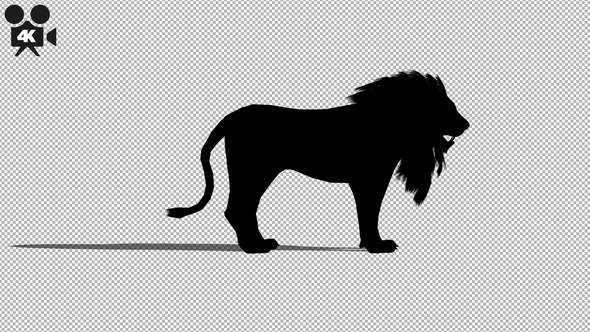 4K Lion Idle Silhouette alt