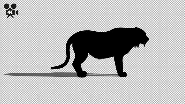 4K Tiger Eat Silhouette alt