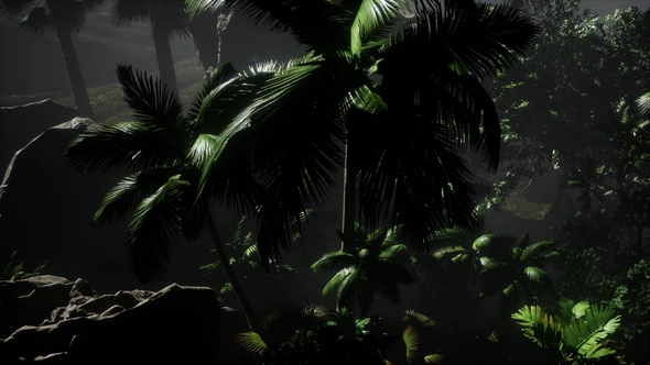 Sunset Beams Through Palm Trees alt