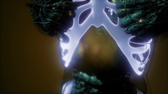 Human Body with Visible Skeletal Bones alt