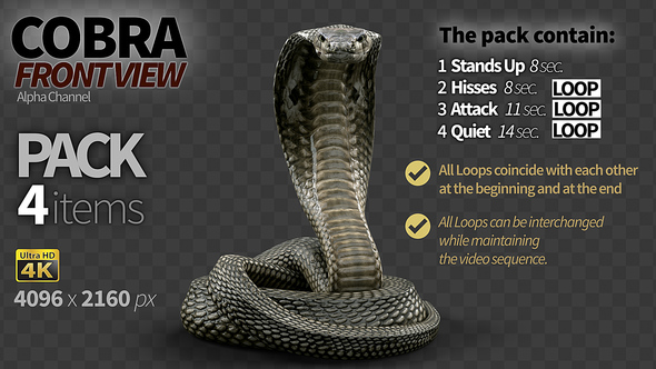 Cobra Front View Pack 4 alt