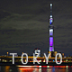 Skytree - VideoHive Item for Sale