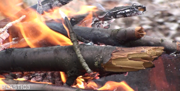 Burning Fire Wood HD