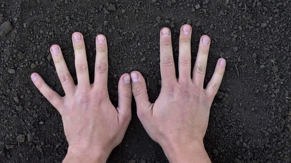 Male Hand Touching the Ground, Checking Quality,