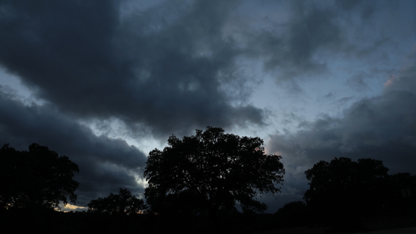 Clouds and Trees