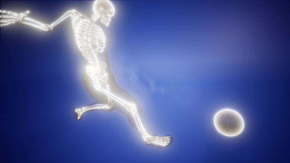 Soccer Game Player alt