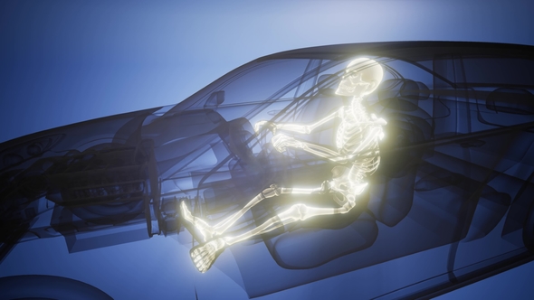 Driver with Visible Bones alt