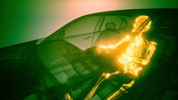 Driver with Visible Bones alt