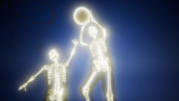 Basketball Game Player alt