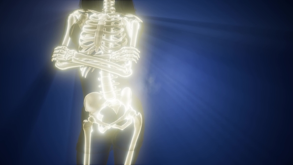 Human Bones Radiographic Scan alt