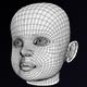 Human Baby Head Low Poly Base Mesh - 3DOcean Item for Sale