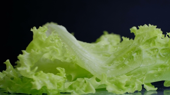 Fresh Lettuce Salad Leafs , in Rotation, Black Background