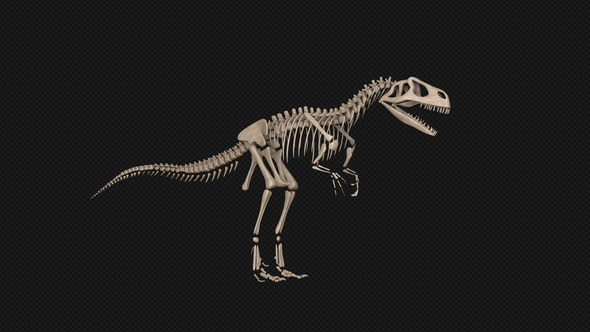 Dinosaur Skeleton alt