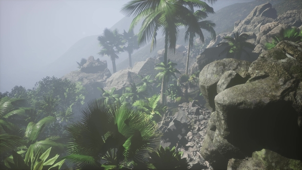 Sunset Beams Through Palm Trees alt