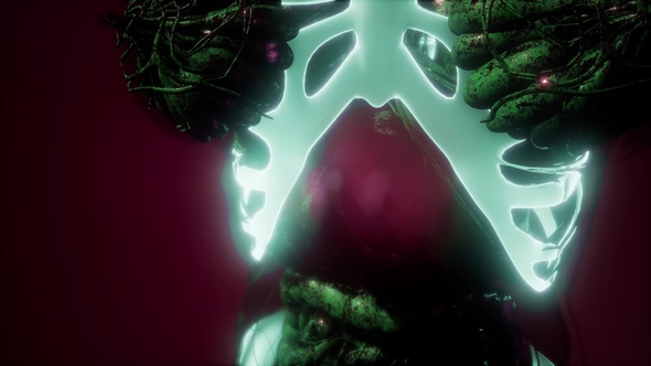 Human Body with Visible Skeletal Bones alt