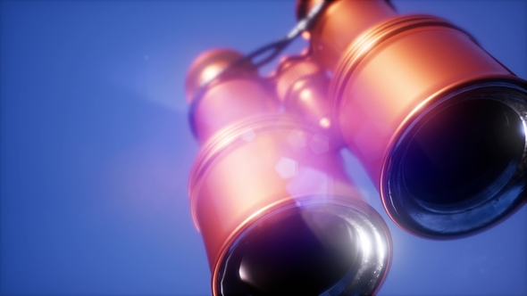 Flying Old Military Binoculars alt