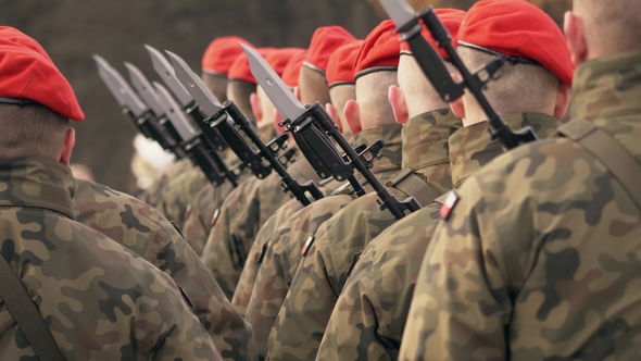 Soldiers in Red Berets with Guns Stand with Their Backs To the Camera. Presentation of Medals
