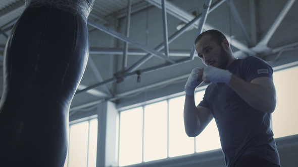 Boxer Training with Punchbag