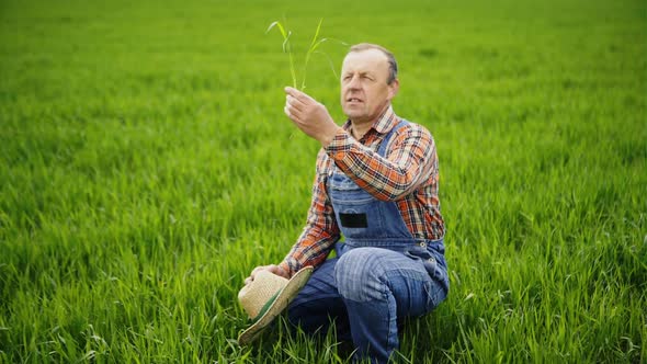 Man with Seedling in Field