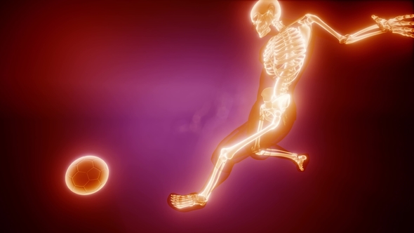 Soccer Game Player alt